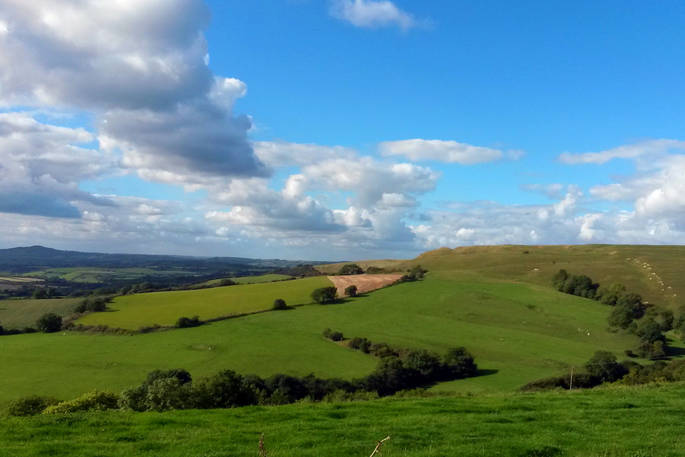 Scenic view of Dorset countryside near Buck's Coppice cabin