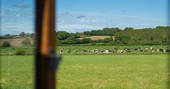 The Pleasant Pheasant Shepherd's hut surrounding area, Sturminster Newton, Dorset