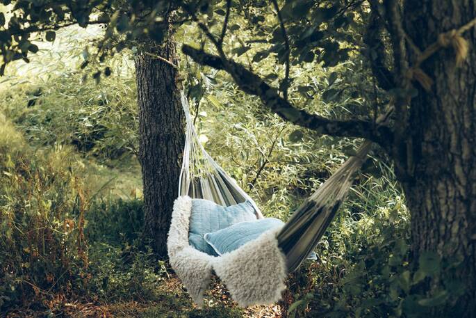 14 - Hammock in the woodland