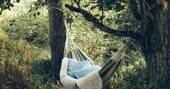 14 - Hammock in the woodland