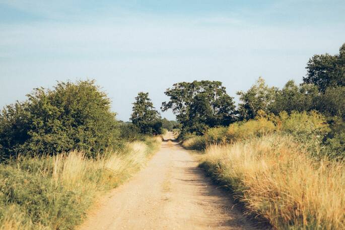 16 - paths on site