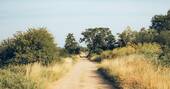 16 - paths on site
