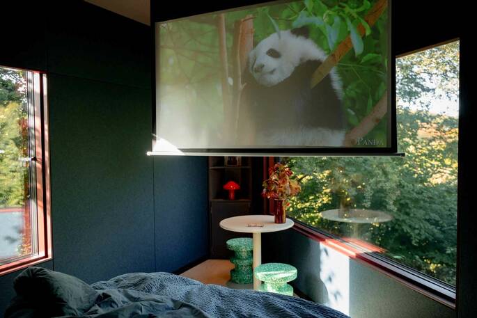 Projector screen