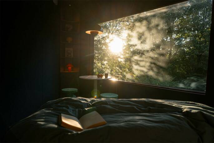 View from the bed of the sun