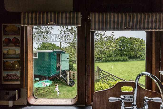 The view through the window of Camping Coach, looking out on the living van and garden table. A dog jumps up to investigate the scones on the table, Dorset