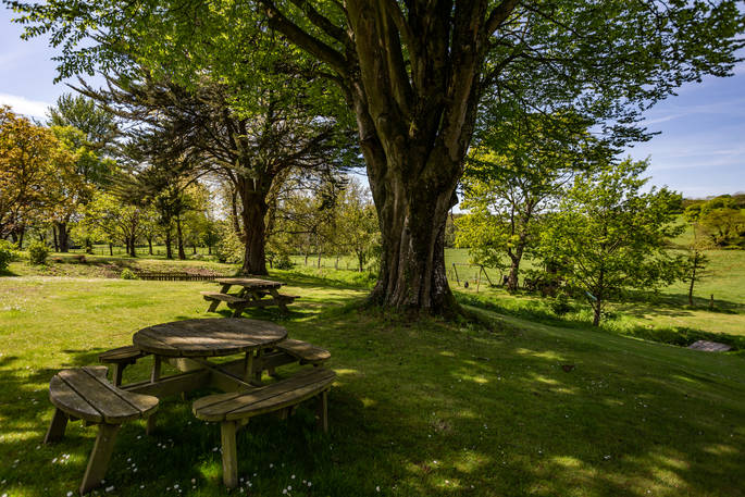 Take a picnic with friends and gaze across the grounds at Laverstock Farm in Dorset