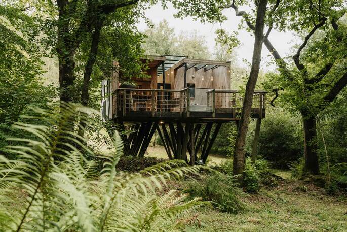 16 - Dazzle front exterior