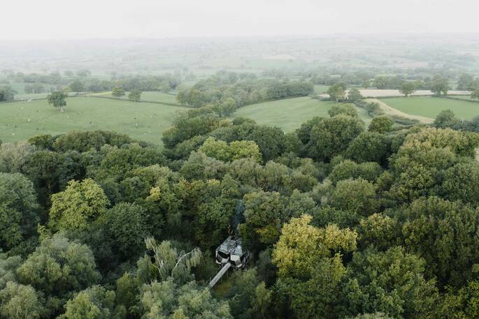 19 - Hidden within the trees