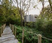 Mallinson’s Woodland