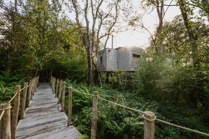 5- Path leading to pinwheel