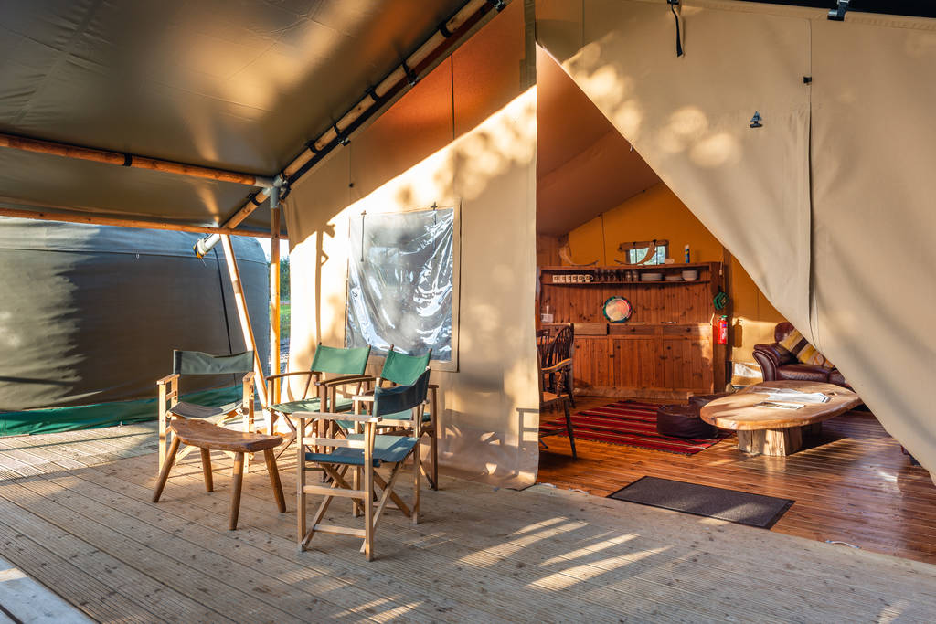 Withy Bed Camp Camp in Dorset Canopy & Stars