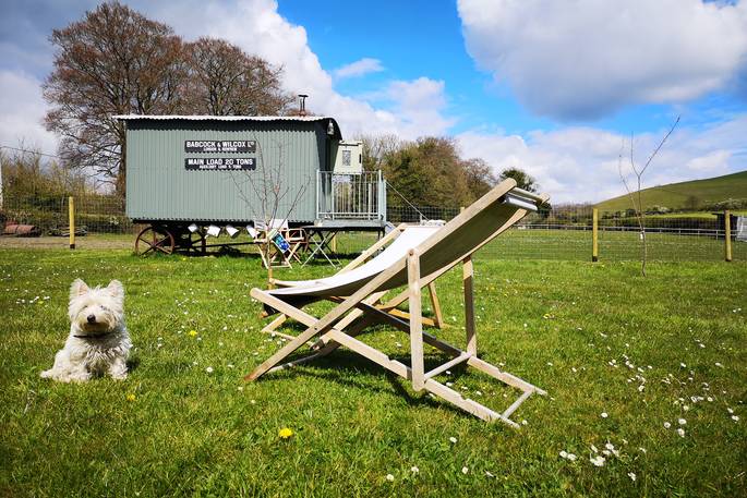 Mabel at The Old Forge camp shepherd's huts - large space for resting and sunbathing, Shaftesbury, Dorset
