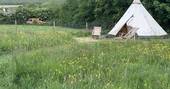 Tipi photo