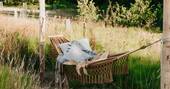 Hammock in the garden