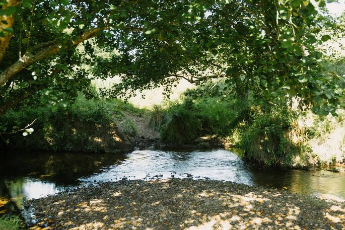 Walks nearby to the river