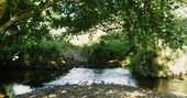 Walks nearby to the river