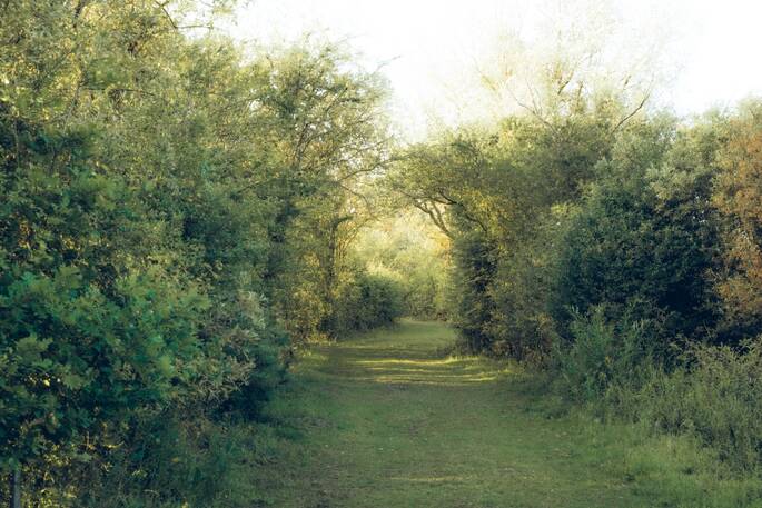 16 - Paths around site