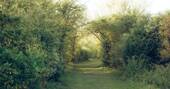 16 - Paths around site
