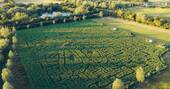 17 - Maze