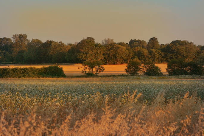 Surrounding area
