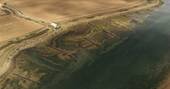 Samphire from above