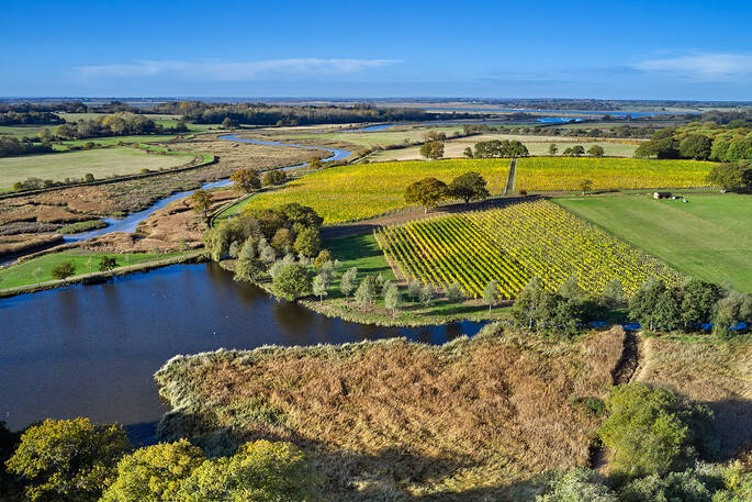 Arial view of Teal and Wigeon (1)
