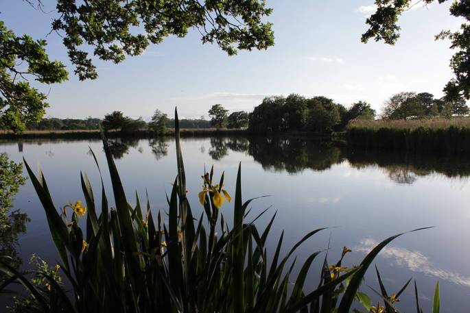 Sit by the lake at The Shepherds Hide in Essex