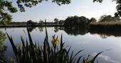 Sit by the lake at The Shepherds Hide in Essex