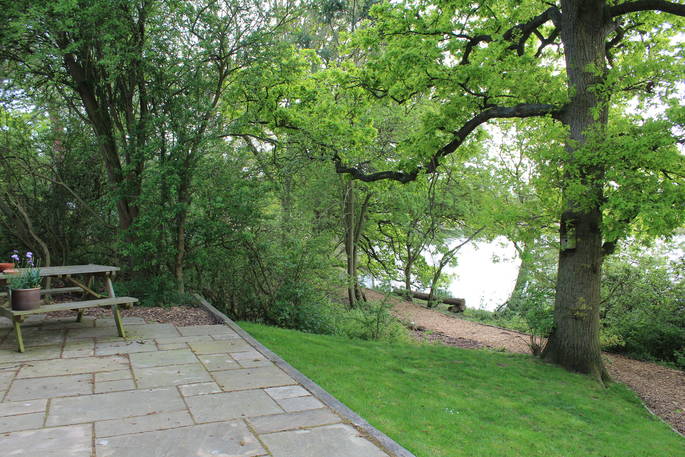 Wigeon at The Shepherds Hide in Essex