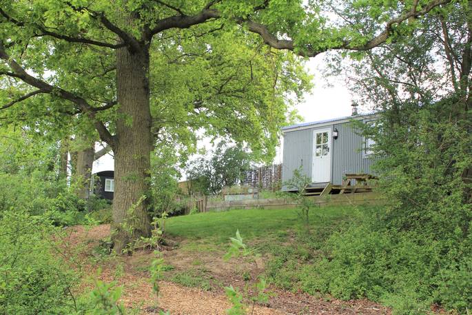 Wigeon at The Shepherds Hide in Essex