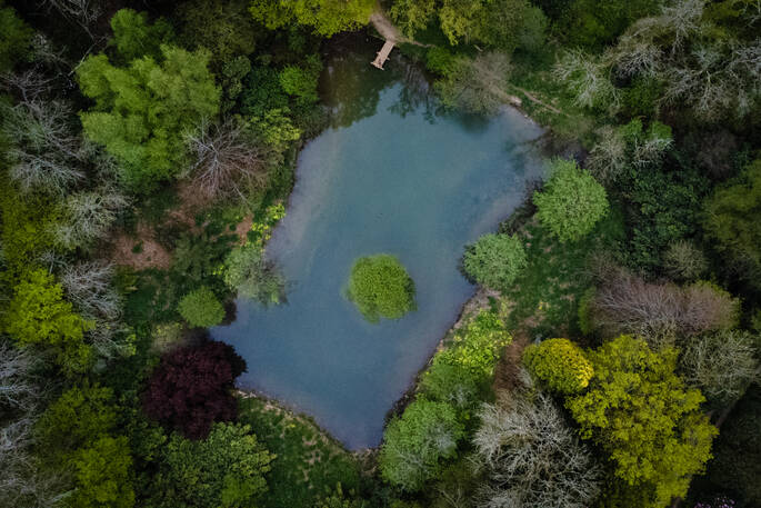 Lake from above