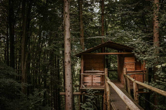 Cabin in the trees
