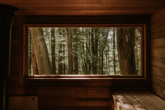 Sauna window