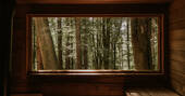 Sauna window