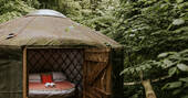 View into yurt