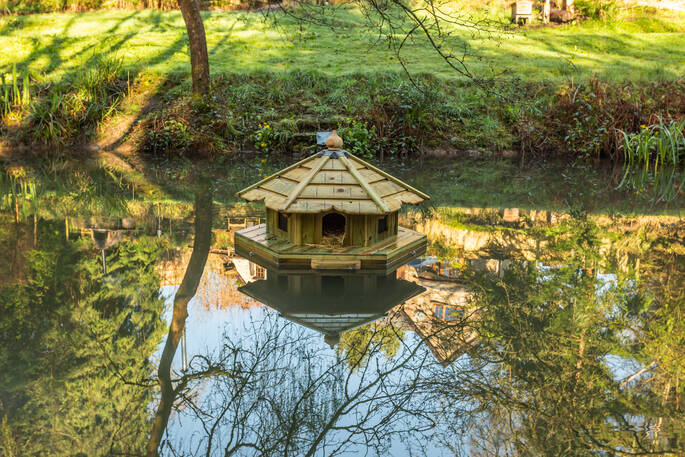 hut in pond