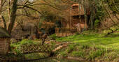 Squirrel's Nest Treehouse Exterior 