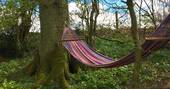 The Fuselage cabin hammock, Lypiatt Hill at Stroud, Gloucestershire
