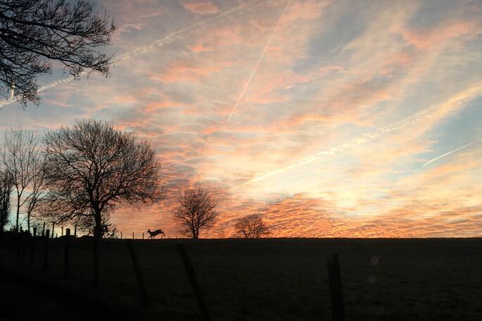 Views of pink skies and deer from The Fuselage in Gloucestershire