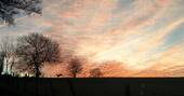 Views of pink skies and deer from The Fuselage in Gloucestershire