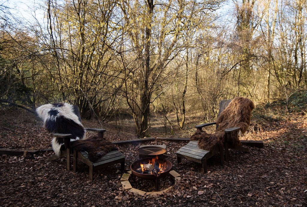 Arcadia Cabin in Gloucestershire Canopy & Stars