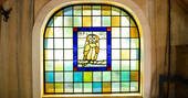 Owl window