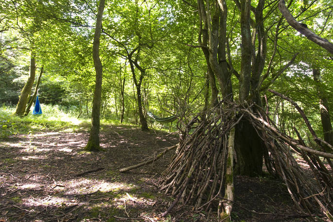Woodland hammock near Yurt Reynolds at Westley Farm in Gloucestershire 