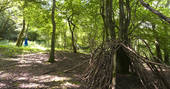 Woodland hammock near Yurt Reynolds at Westley Farm in Gloucestershire 