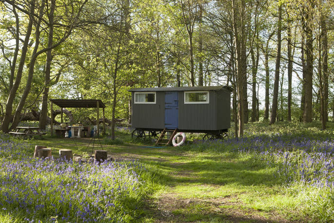 Outdoor camp kitchen next to Lima at Wild Wood Bluebell in Gloucestershire 