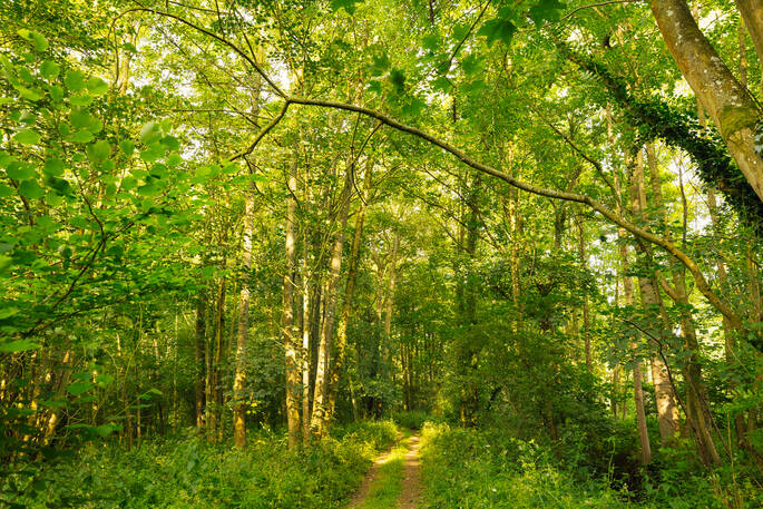 walks in the surrounding area