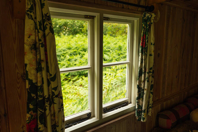 view from the window