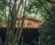Wyld Wyld Wood Treehouses