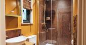 Bathroom with a hot shower, sink and flushing toilet