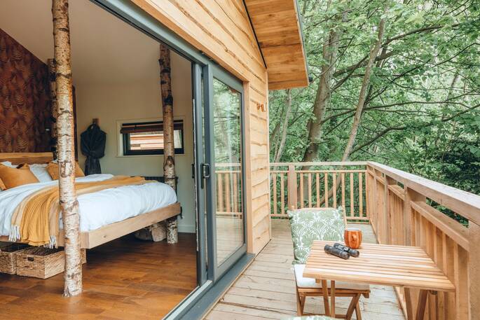 Bifold windows with a view